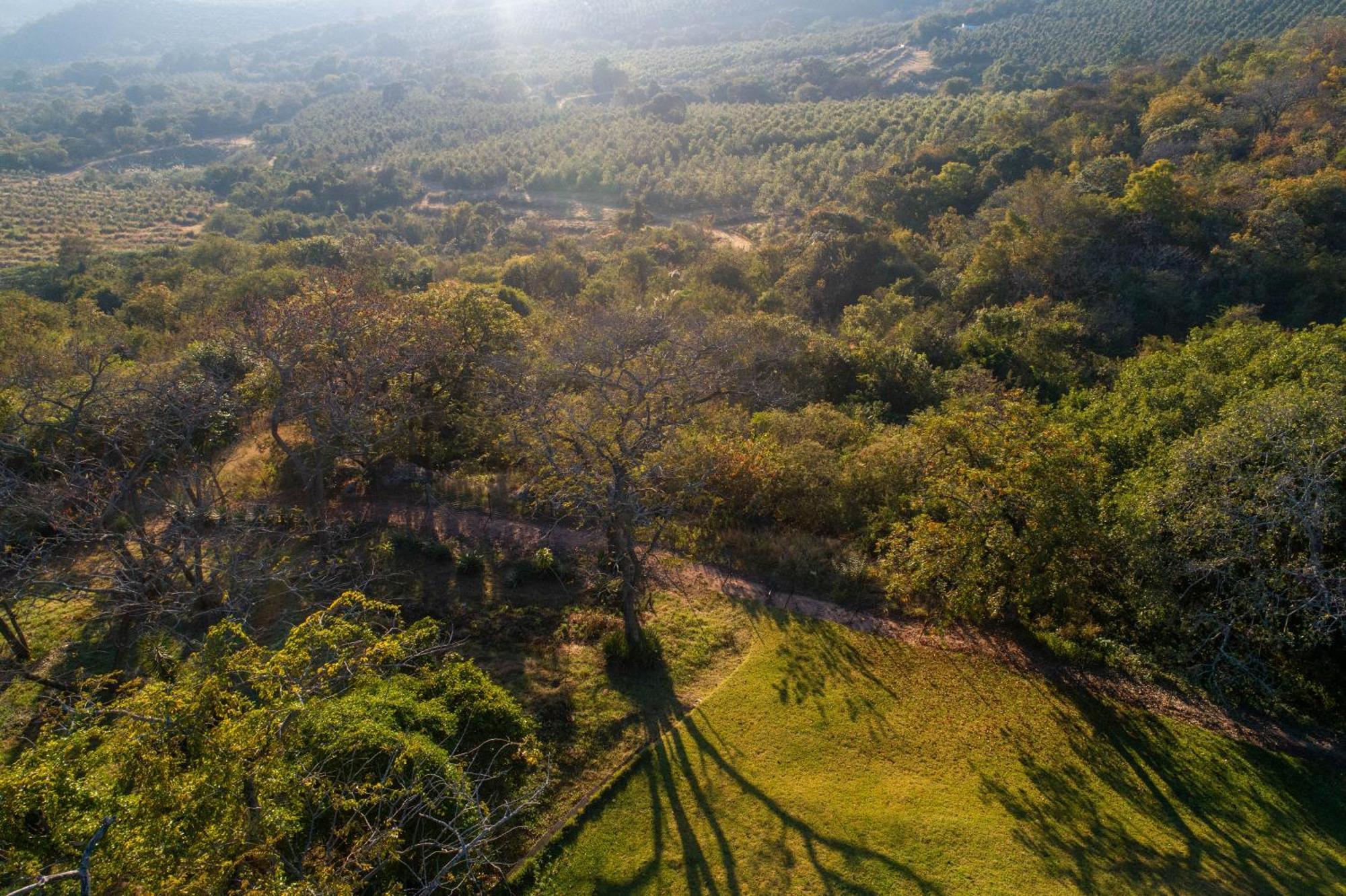 Chestnut Country Lodge Hazyview Esterno foto
