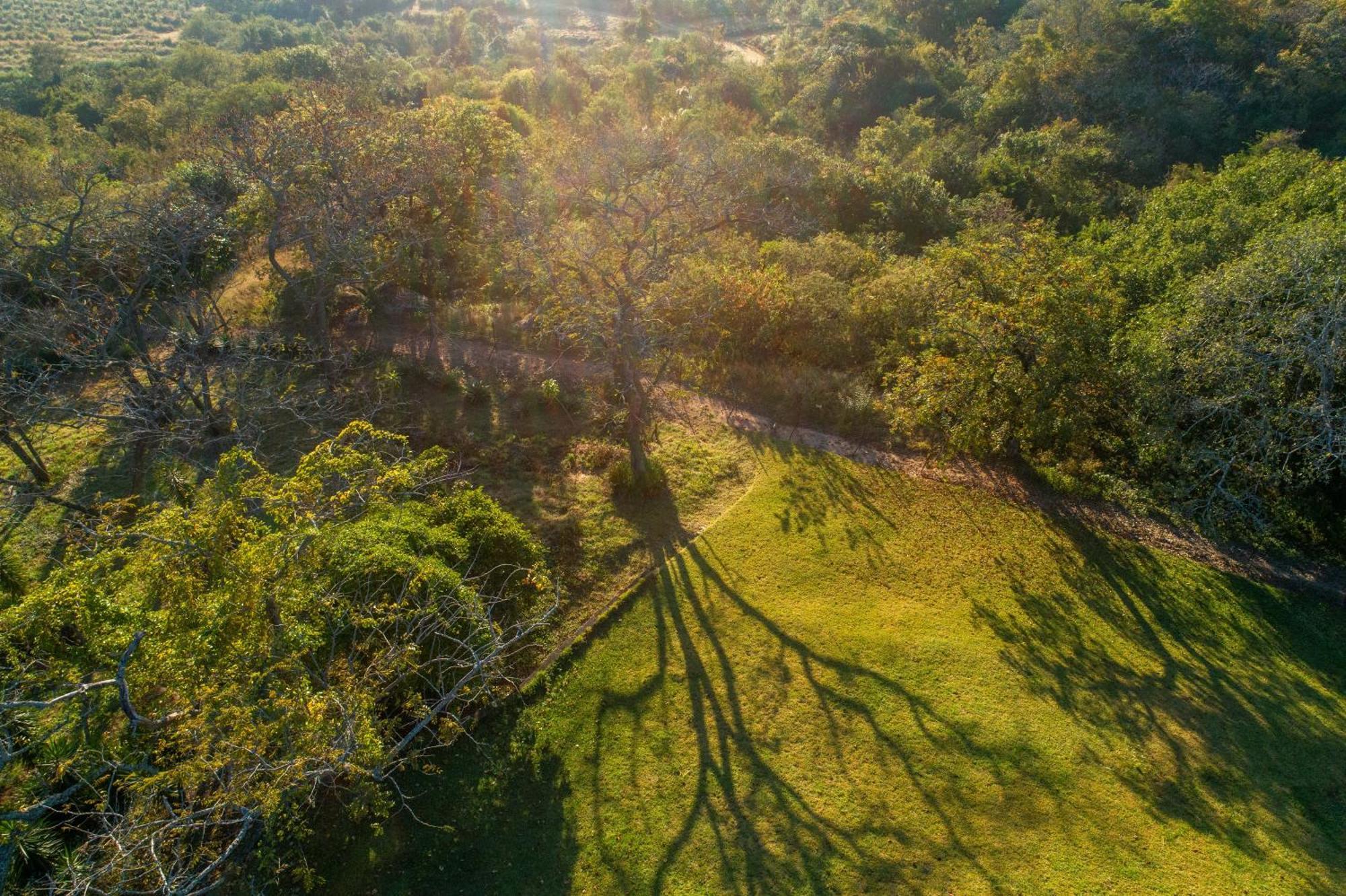 Chestnut Country Lodge Hazyview Esterno foto