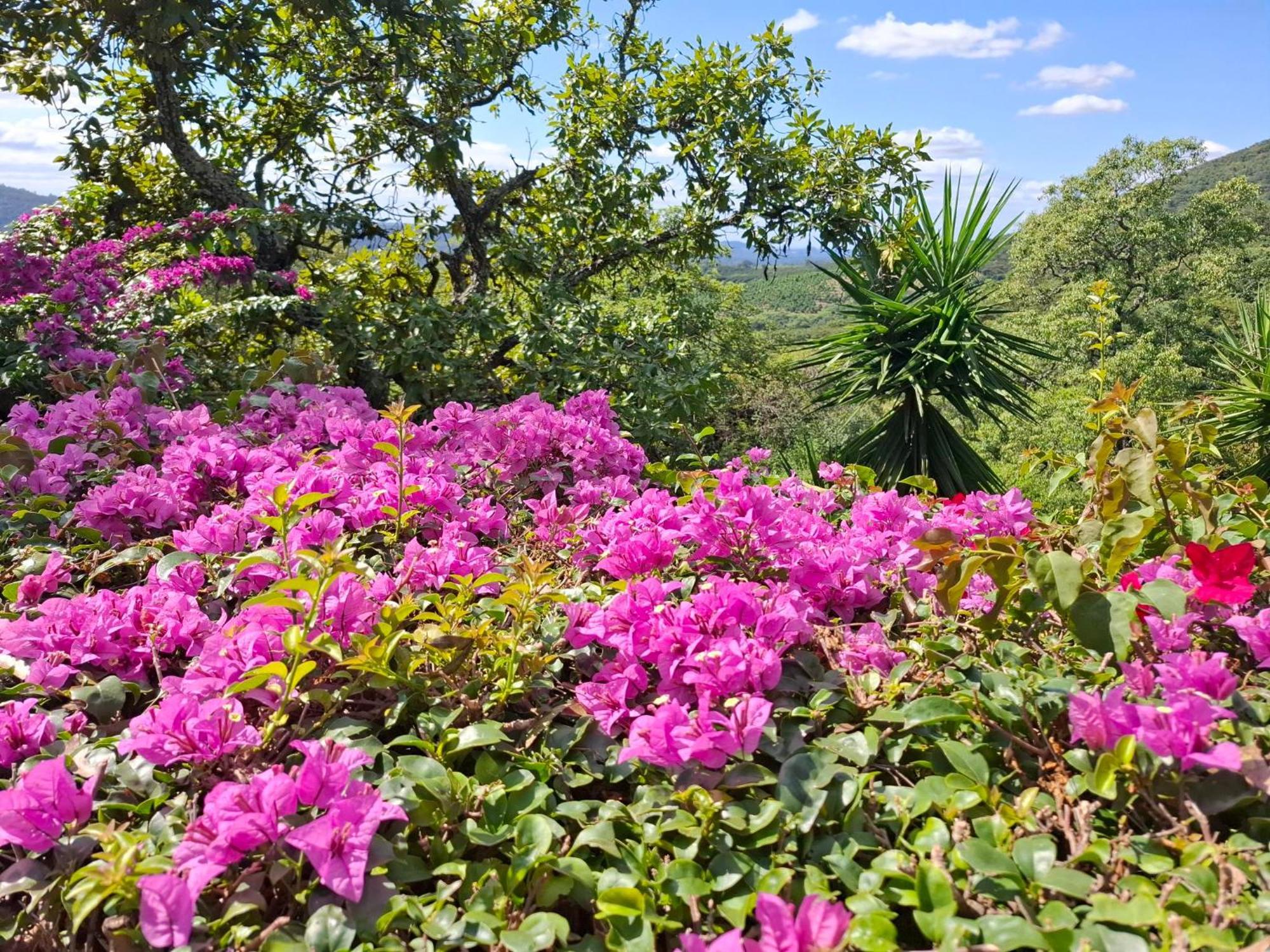 Chestnut Country Lodge Hazyview Esterno foto